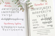 Dynamic Love | Calligraphy Script, a Script Font by StoricType (Thumbnail 4 of 17)