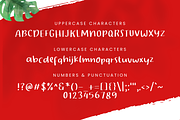Cherry Swash Handwriting Font, a Handwritten Font by Suntype | Sunshine Std (Thumbnail 2 of 9)