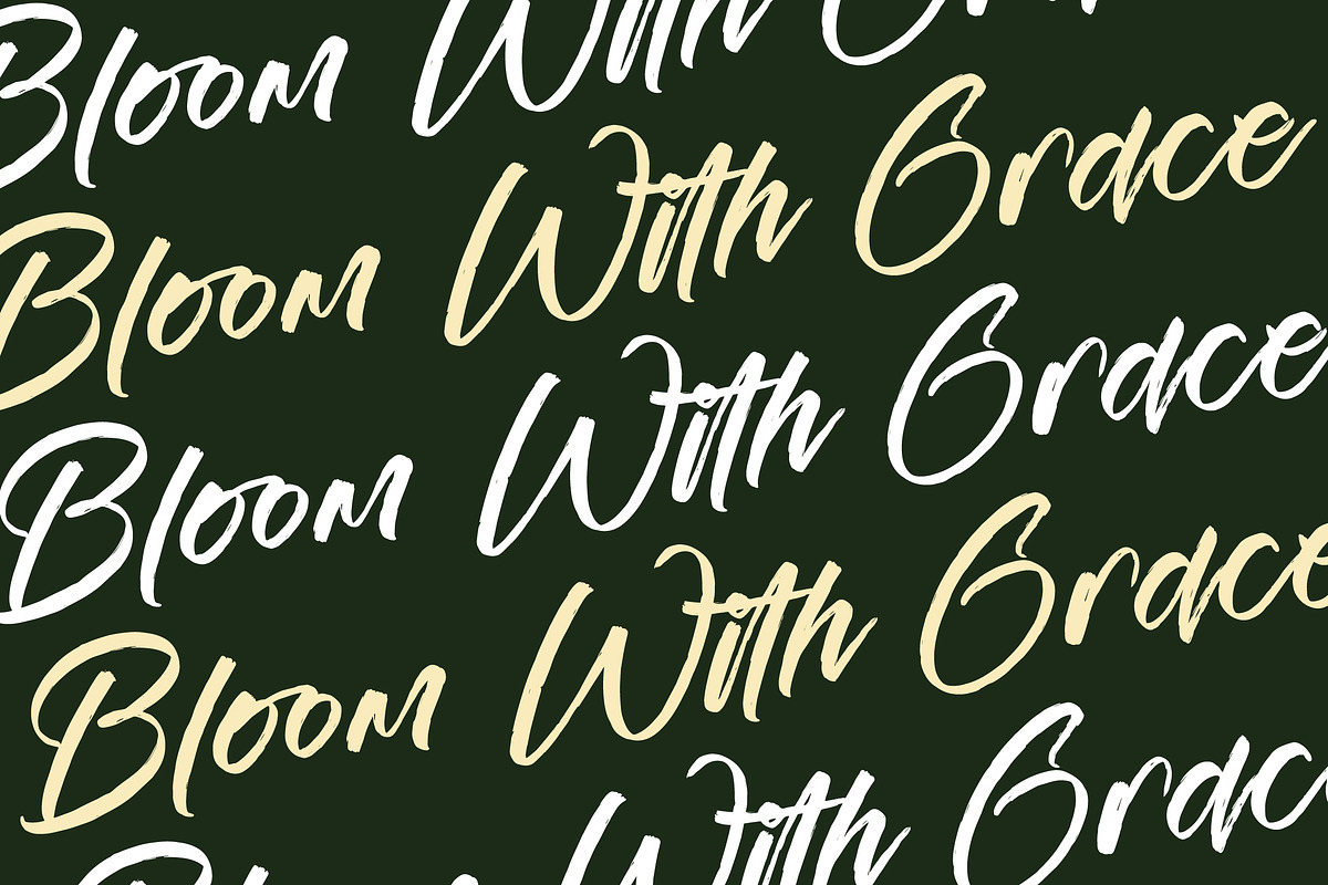 Esterdam, a Handwritten Font by operatype.co (Photo 8 of 15)