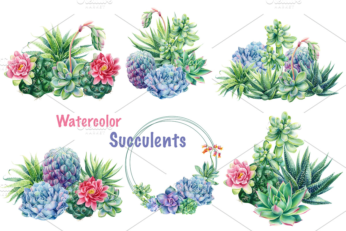Succulents Botanical Watercolor, a Background Graphic by Hanna Hryharenka (Photo 9 of 15)