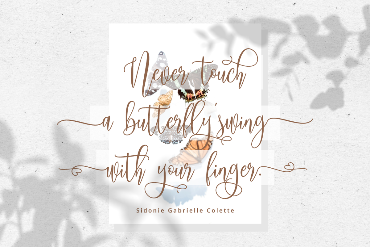 Mollinda - Modern Script Typeface, a Script Font by tebaltipislab (Photo 9 of 10)