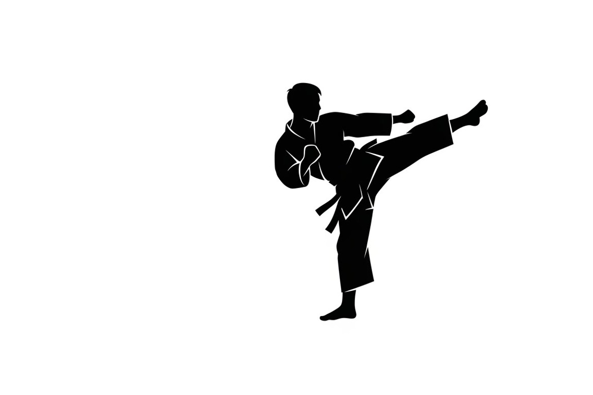 Dynamic martial arts kick silhouette, an Illustration by Amazin_art (Photo 7 of 36)