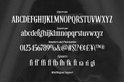 Humble Nostalgia - Elegant Serif, a Serif Font by Arterfak Project (Thumbnail 11 of 13)