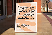 Caplosy - Trippy Font, a Serif Font by Craft Supply Co. (Thumbnail 2 of 8)