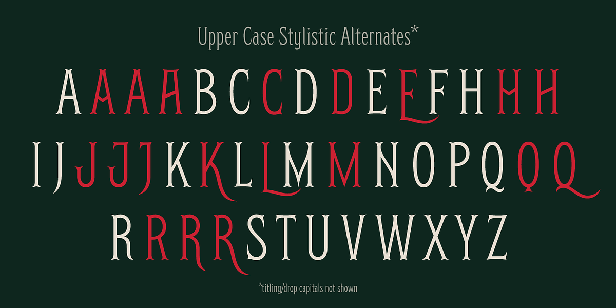 Herschel, a Serif Font by Tried & True Supply Co. (Photo 10 of 16)