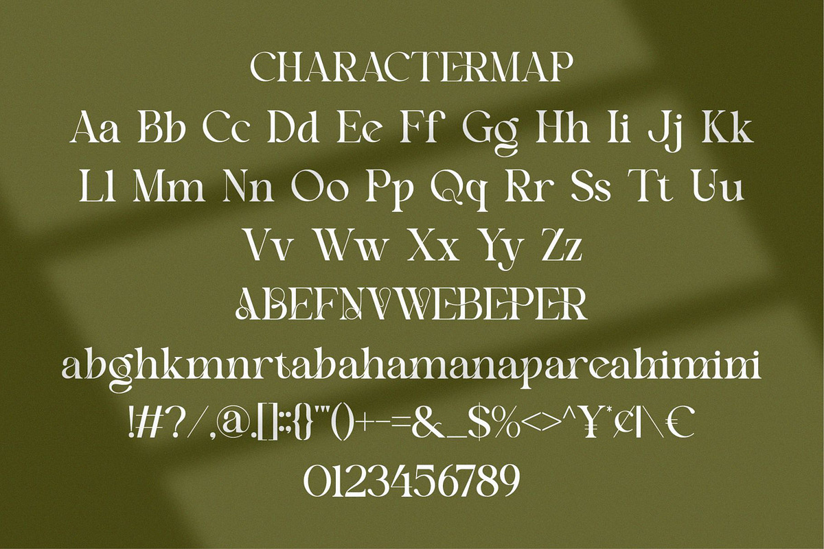 Beniga || Modern Elegant Serif Font, a Serif Font by Ermedia Studio (Photo 8 of 10)