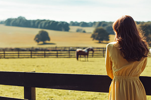 Young woman from behind admiring horses grazing in a green pastu, a Photo by Studio ANNA