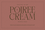 Terquiny - Modern Luxury Serif, a Serif Font by Shapespired Design (Thumbnail 9 of 17)