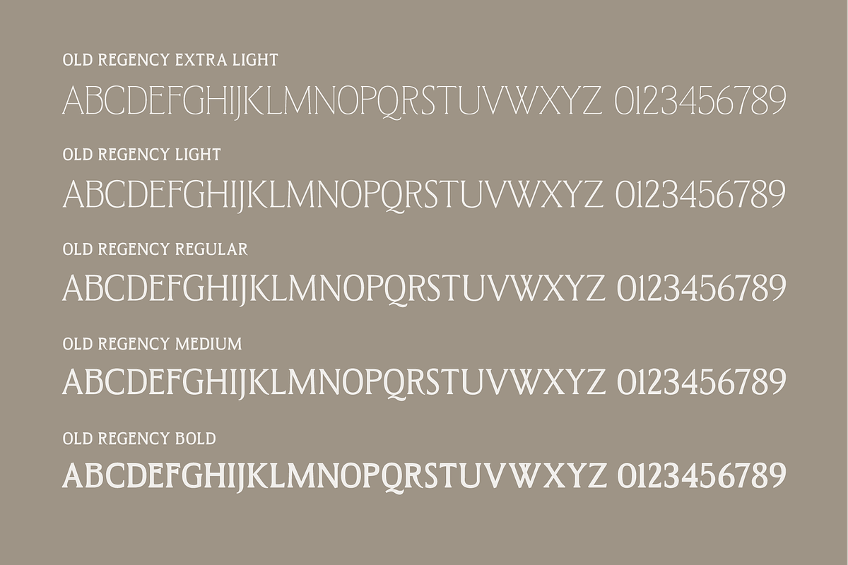 West and Olives (6 fonts + variable), a Font by The Old Type Foundry (Photo 7 of 12)