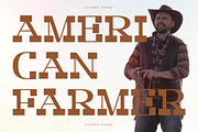 Strong Frame New Slab Serif Font, a Slab Serif Font by Storytype Studio (Thumbnail 2 of 15)