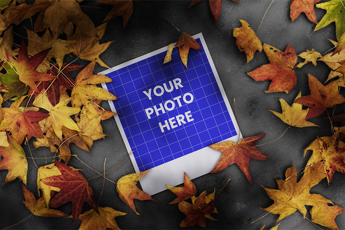 Polaroid Mockup, a Merchandise Mockup by Farabion Studio (Photo 2 of 2)