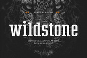 Wildstone Slab, a Slab Serif Font by Typia Nesia (Thumbnail 12 of 12)