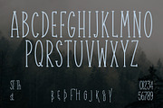 Mahameru Forest | Whimsical Serif, a Handwritten Font by Koplexs Studio (Thumbnail 8 of 10)