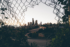 Seattle - Through the fence