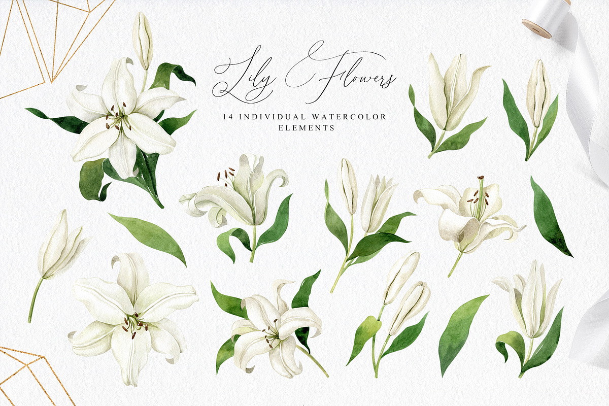 White Lilies Watercolor Set, an Illustration by Natalia Fedorova (Photo 2 of 12)