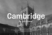 Halagar Sans Family, a Sans Serif Font by Letteralle Studios (Thumbnail 9 of 11)