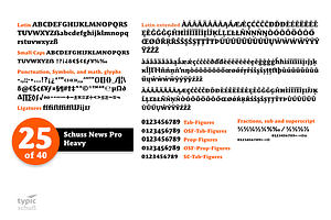 SchussNewsProHeavy No.25 1 Font