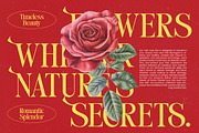 Stories Grand Modern Display Serif, a Serif Font by timelesstype.co (Thumbnail 3 of 20)