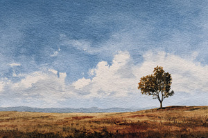 Lonely tree stands on a hill under, a Photo by Pavel_design
