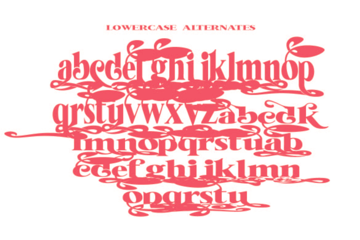 Hello Melone, a Serif Font by AleraStudio (Photo 9 of 10)