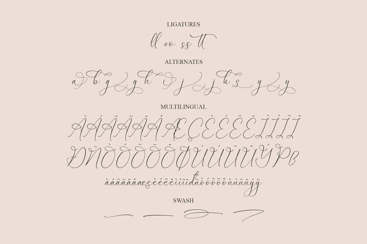 Garbina Sarleta Beauty Calligraphy, a Script Font by Storytype Studio (Photo 13 of 14)