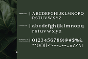 Aragusha Decorative Serif Font, a Serif Font by Rasio Studio (Thumbnail 2 of 9)