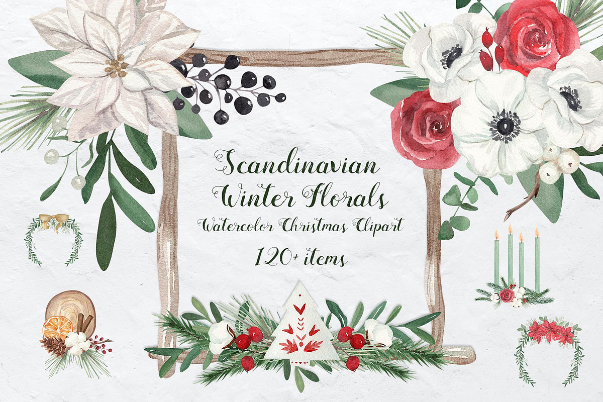 Scandinavian Winter Christmas Floral, a Decorative Illustration by Catch the Dream Art (Photo 1 of 17)
