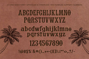 Vandora, a Serif Font by addictype (Thumbnail 10 of 10)