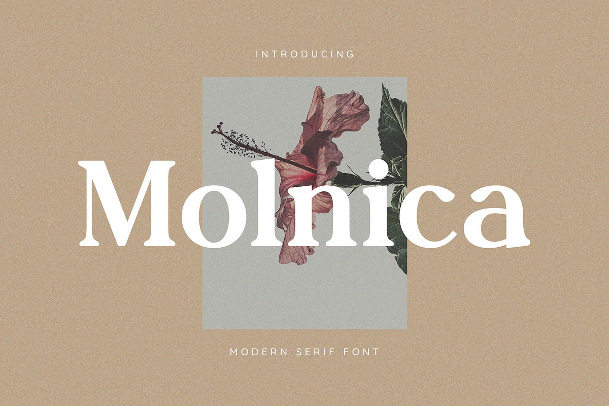 Molnica – Stylish Modern Serif Font, a Serif Font by BrandSemut (Photo 1 of 8)