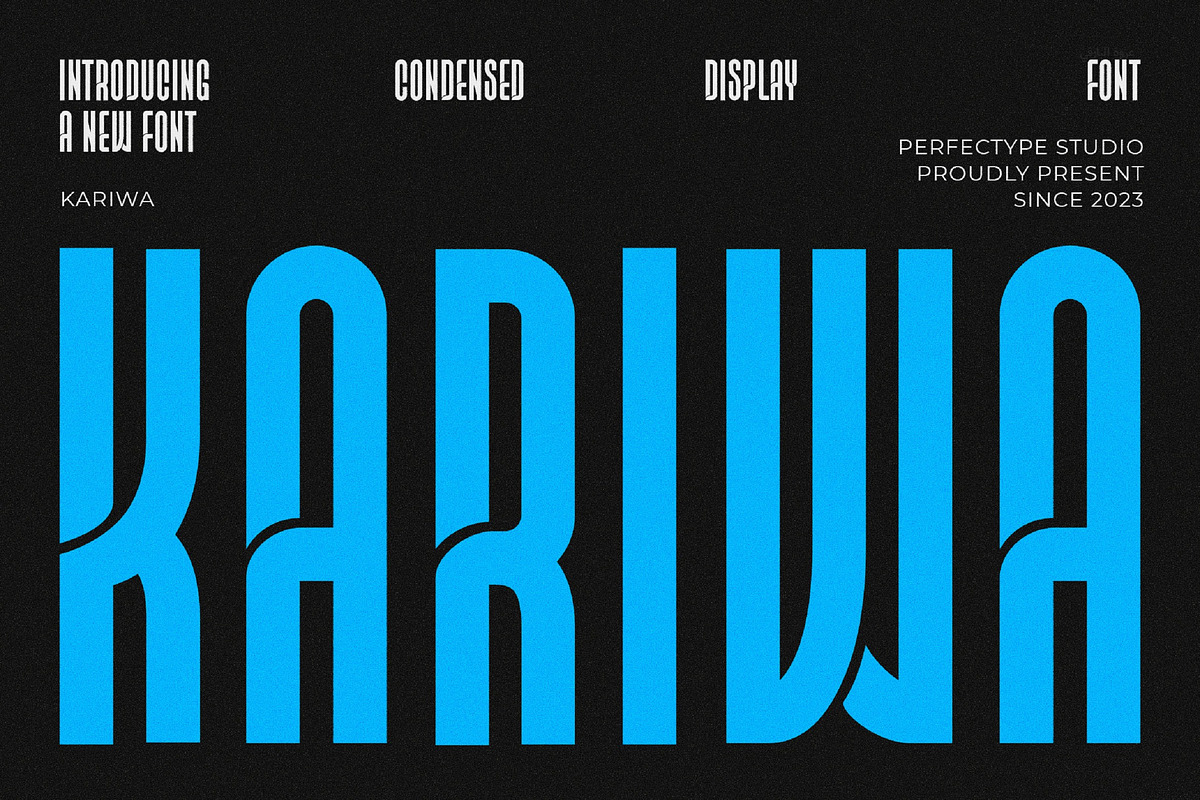 Kariwa Modern Sans Serif Font, a Sans Serif Font by Perfectype (Photo 1 of 7)