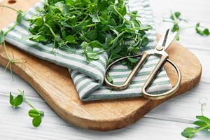 Fresh green pea microgreens on wooden board with scissors, a Food & Drink Photo by Olena Rudo