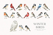 Winter Birds, an Animal Illustration by PeDe Designs (Thumbnail 2 of 6)
