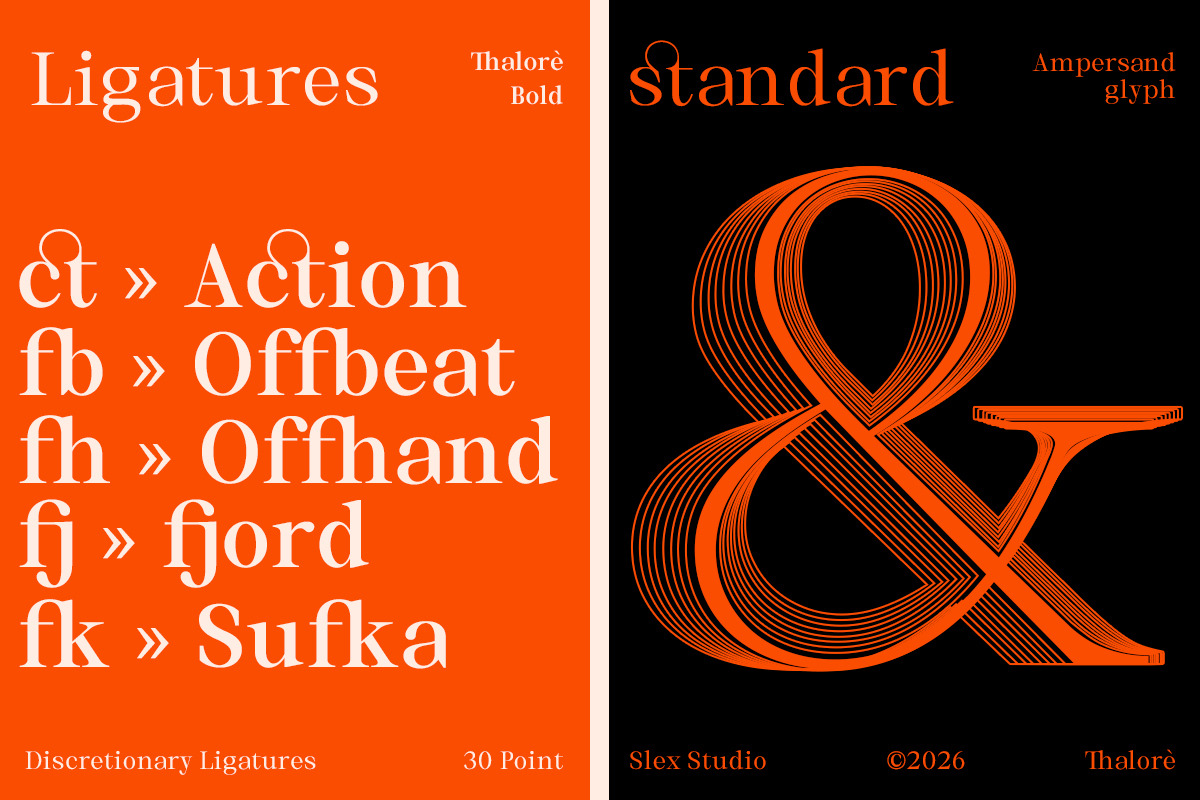 Thalore, a Serif Font by Slex Studio (Photo 12 of 14)