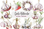 Garlic Watercolor Clipart Bundle, an Illustration by DreamArtGraphic (Thumbnail 1 of 4)