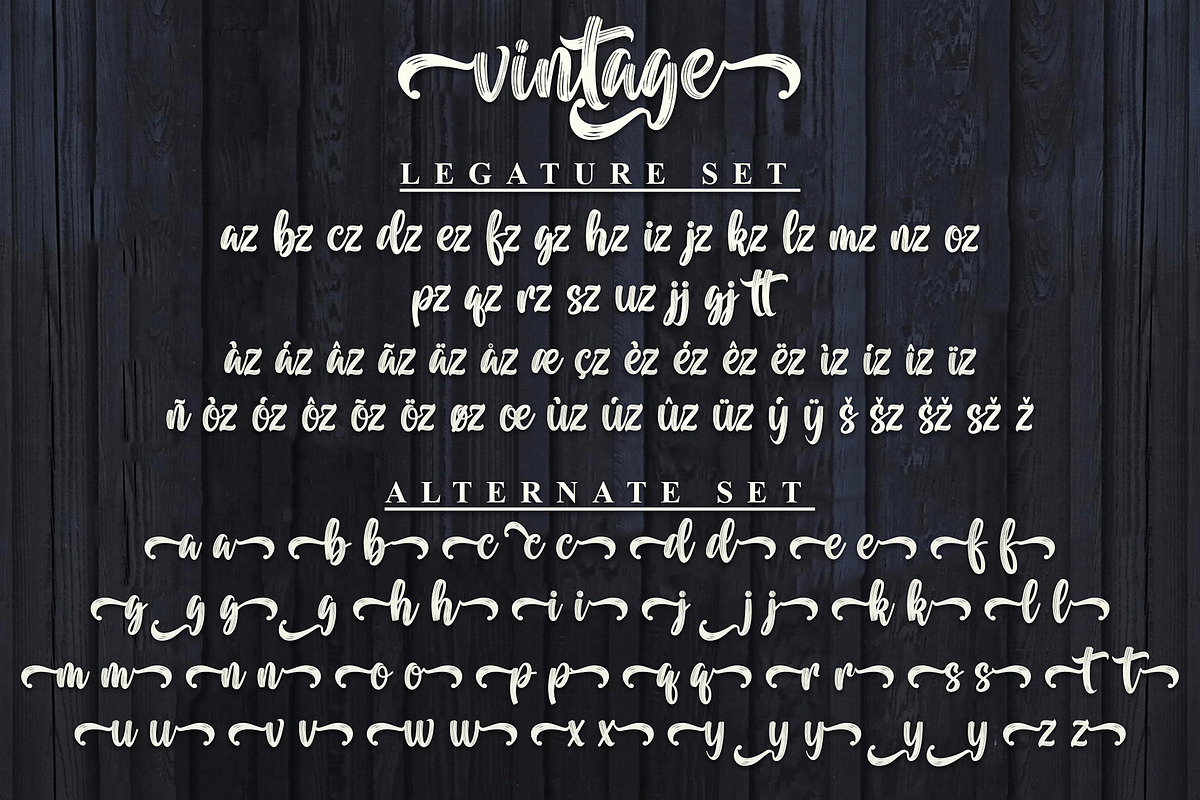 Vintage | Handwritten Brush Font, a Handwritten Font by Aveni Letter Type (Photo 10 of 11)