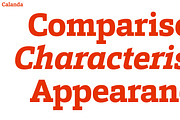 Calanda, a Slab Serif Font by Hoftype (Thumbnail 10 of 26)