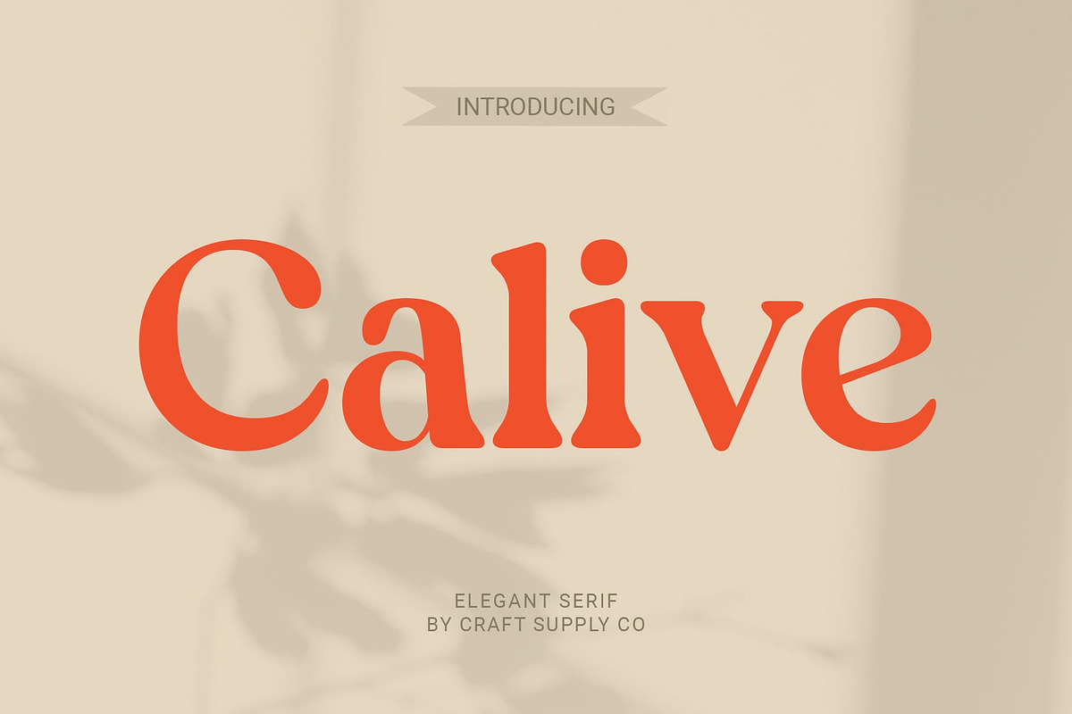 Calive – Nostalgic Font, a Serif Font by Craft Supply Co. (Photo 1 of 8)