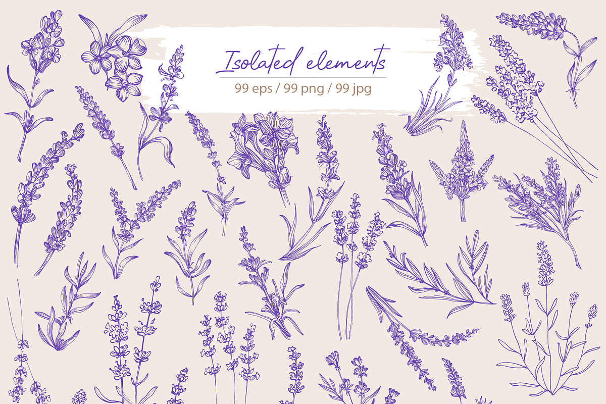 Lavender sketch illustration, a Decorative Illustration by Samira (Photo 3 of 10)
