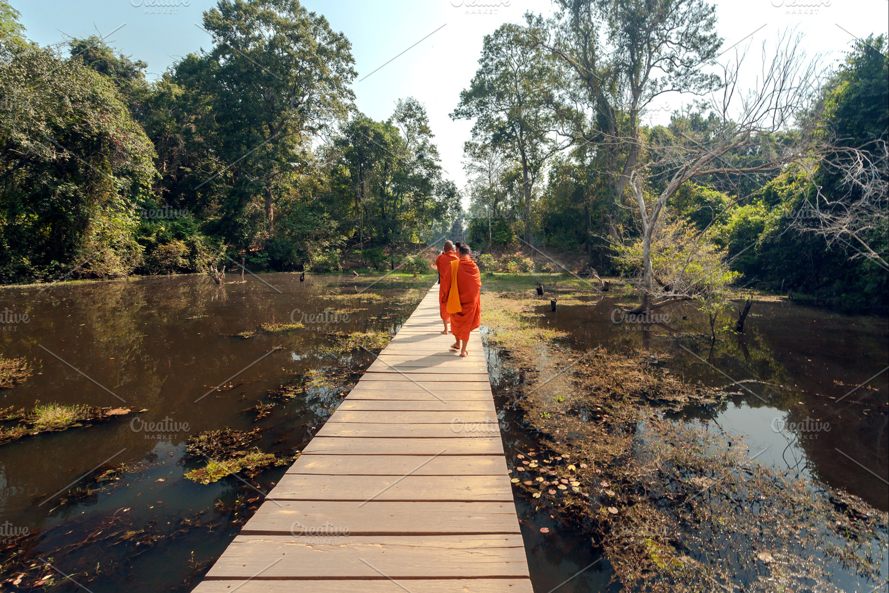 Buddhist monks walking, a Nature Photo by Radiokafka