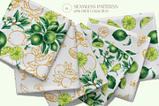 Lime Watercolor Collection, a Food Illustration by SashaKondr (Thumbnail 8 of 15)