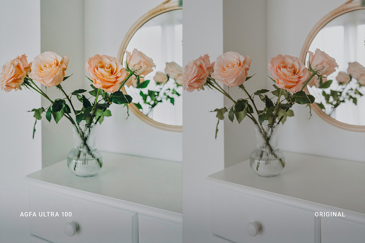 Agfa Ultra 100, a Preset Add-On by colorituals (Photo 5 of 8)