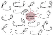 Hand drawn Vector Floral set, a Background Graphic by InkySplash (Thumbnail 3 of 5)