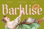 Barklise Modern Blackletters Font, a Blackletter Font by AmorfaType (Thumbnail 1 of 11)