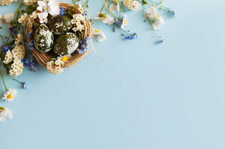 Easter flat lay. Stylish easter eggs and spring flowers in nest