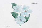 Realistic watercolor brushes - PS, a Brush Add-On by Jenteva Art (Thumbnail 8 of 13)