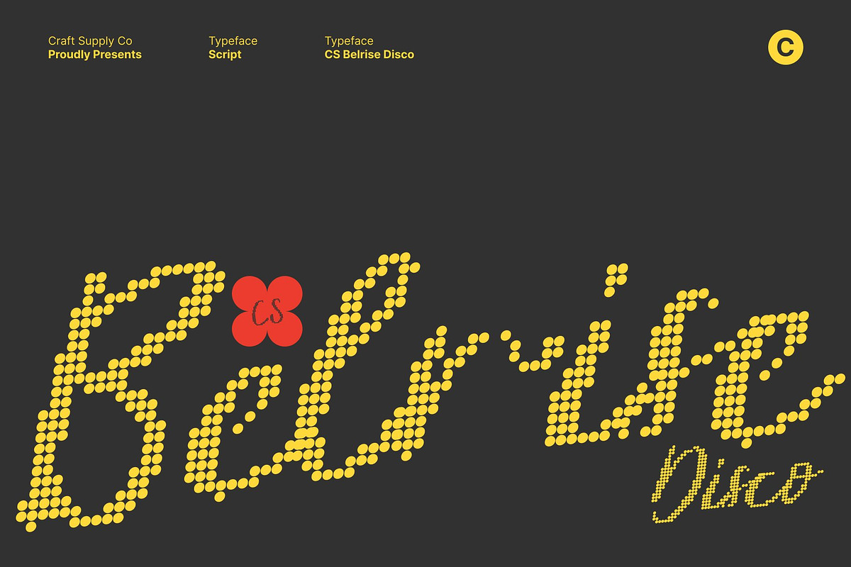 CS Belrise Disco, a Script Font by Craft Supply Co. (Photo 1 of 8)