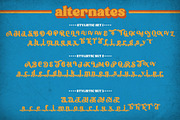Broking Typeface, a Serif Font by alit design (Thumbnail 9 of 17)