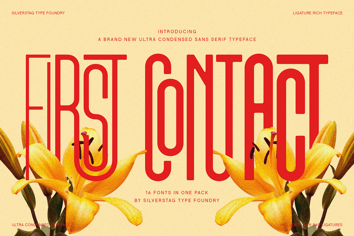First Contact - 16 Fonts in One Pack, a Sans Serif Font by SilverStag Type Foundry (Photo 1 of 30)