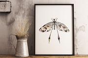 DRAGONFLIES. Watercolor clipart, an Illustration by digital_essence (Thumbnail 9 of 10)