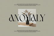 Havko Unique Serif Font, a Serif Font by Perfectype (Thumbnail 4 of 8)